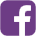 fbicon